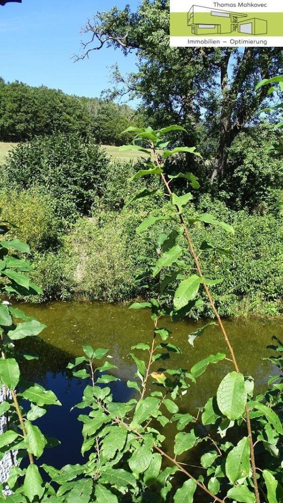 Terrain à Altenmarkt an der Triesting, Austria 988m² No. 154924