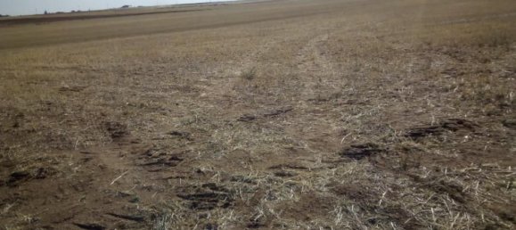 Grundstück in Salamanca, Spain 11679m², Nr. 166036 6