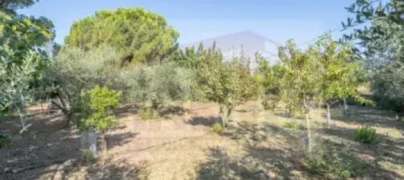 2 bedrooms House in Tarragona, Spain No. 173261 38