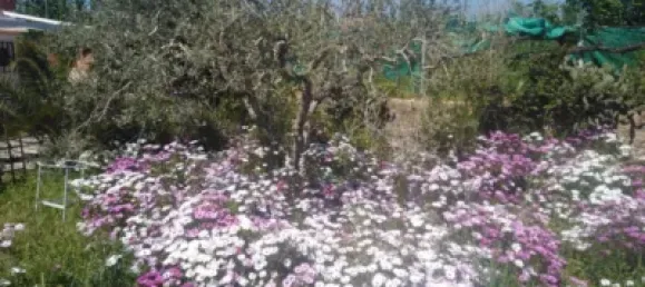 2 bedrooms House in Tarragona, Spain No. 173261 47