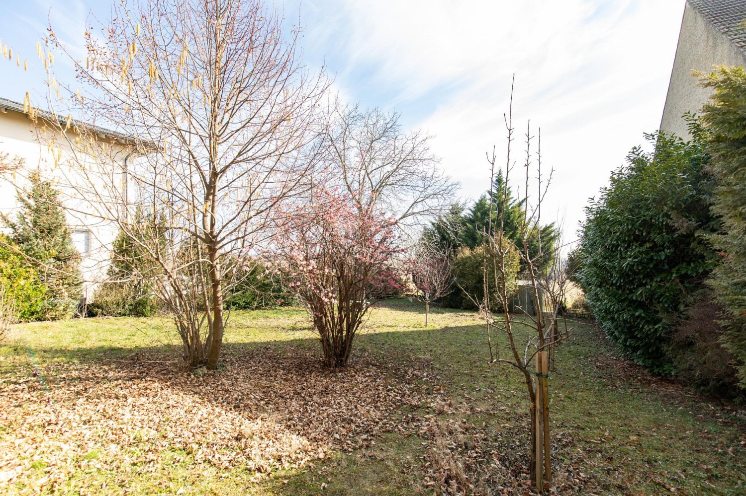 4-salle Terrain à Jois, Austria No. 129969