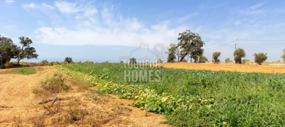 39 bedrooms Land in Guia, Portugal No. 10071 27