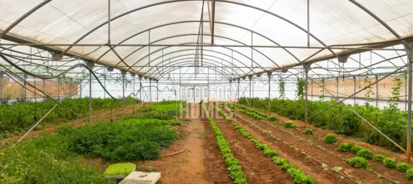 39 bedrooms Land in Guia, Portugal No. 10071 13