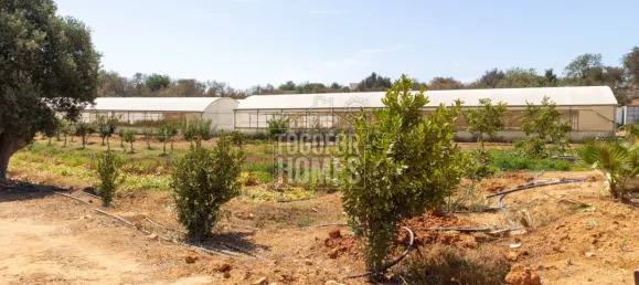 39 bedrooms Land in Guia, Portugal No. 10071 15