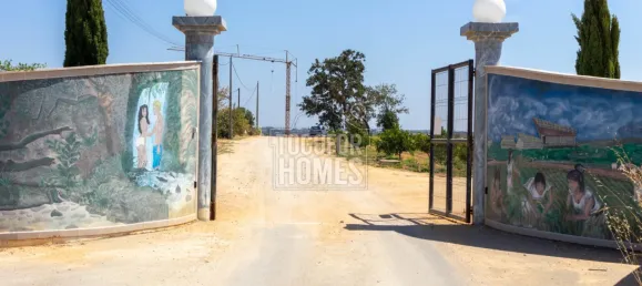 39 bedrooms Land in Guia, Portugal No. 10071 11