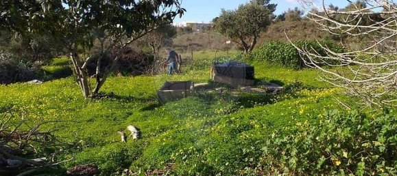 Grundstück in Portimao, Portugal 810m², Nr. 40340 7