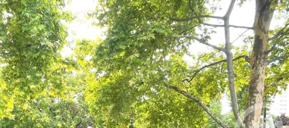 1 bedroom Apartment in Maisons-Alfort, France No. 292990 10