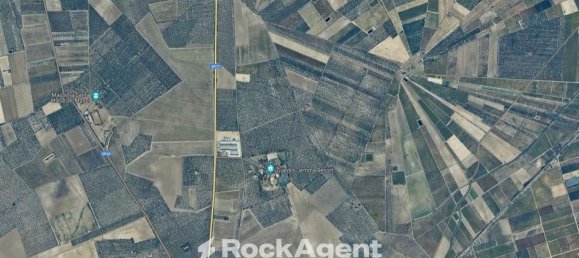  قطعة أرض في Cerignola, Italy 6500متر مربع رقم 12758 3