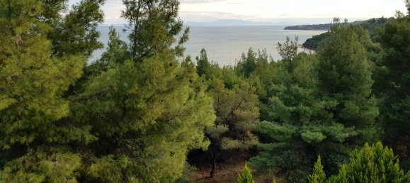 820m² Villa in Chalkidiki, Greece No. 8170 4