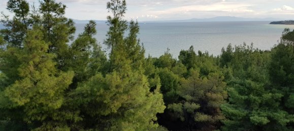 24غرفة فيلا في Chalkidiki, Greece رقم 8170 2