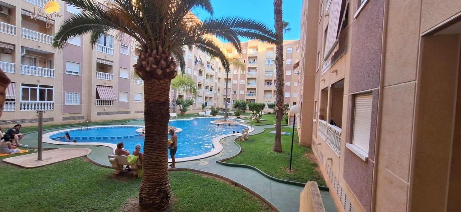 1 Schlafzimmer Wohnung in Torrevieja, Spain, Nr. 146891