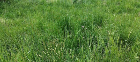 Terreno em Griffen, Austria 834 m² N.º 226694 2