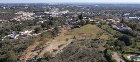 9770m² Land in Loule, Portugal No. 125806 16