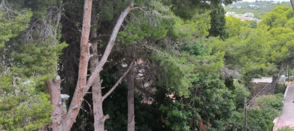 Apartamento de 1 dormitorio en Alcala De Xivert, Spain No. 168856 9