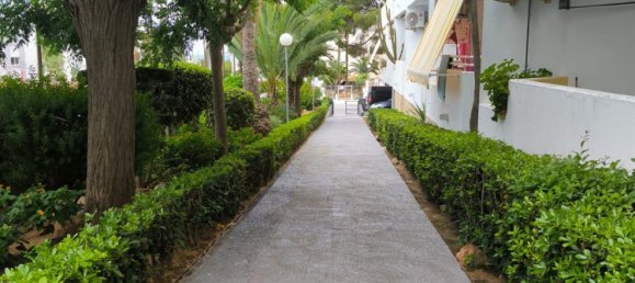 Apartamento de 1 dormitorio en Alcala De Xivert, Spain No. 168856 6