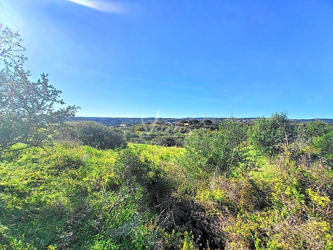 3376m² Land in Cadiz, Spain No. 29383