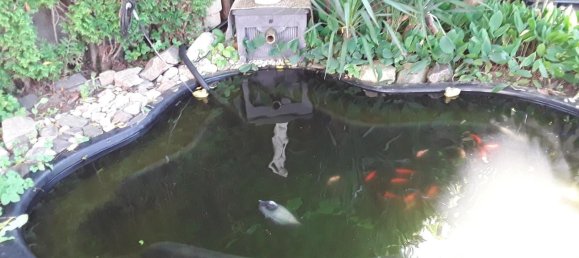 4 Schlafzimmer Haus in Rhein-Erft, Germany, Nr. 254489 5