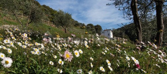 9 Schlafzimmer Haus in Pisa, Italy, Nr. 109515 9