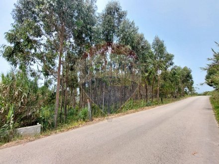 Земельный участок 3440м² в Назаре, Португалия № 60652