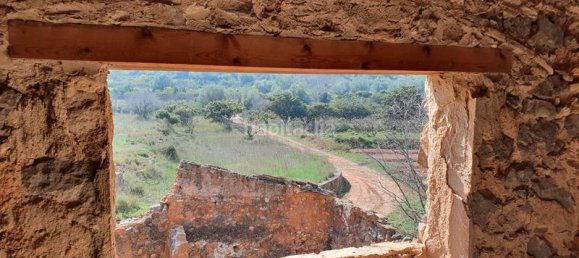 Terrain à Segorbe, Spain 12000m² No. 135245 36