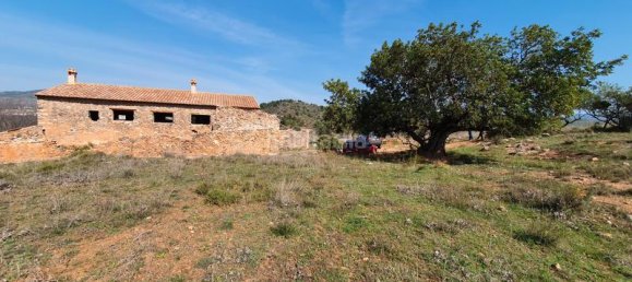 Terrain à Segorbe, Spain 12000m² No. 135245 3