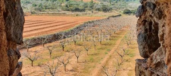 Terrain à Segorbe, Spain 12000m² No. 135245 39