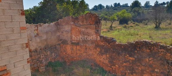 Terrain à Segorbe, Spain 12000m² No. 135245 32