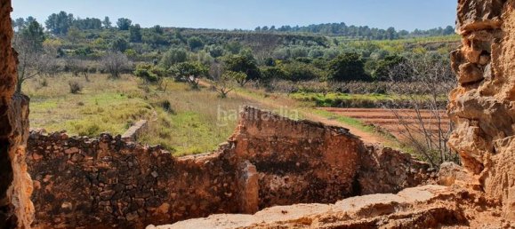 Terrain à Segorbe, Spain 12000m² No. 135245 31