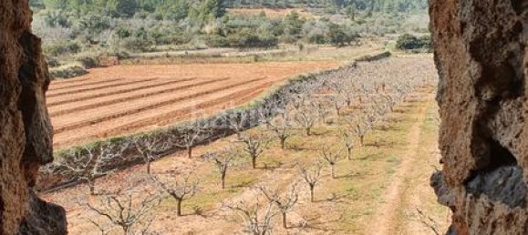 Terrain à Segorbe, Spain 12000m² No. 135245 38