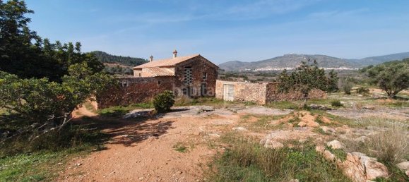 Terrain à Segorbe, Spain 12000m² No. 135245 5