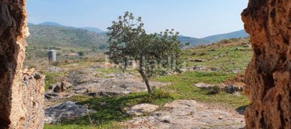 Terrain à Segorbe, Spain 12000m² No. 135245 46