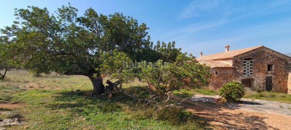 Terrain à Segorbe, Spain 12000m² No. 135245 22