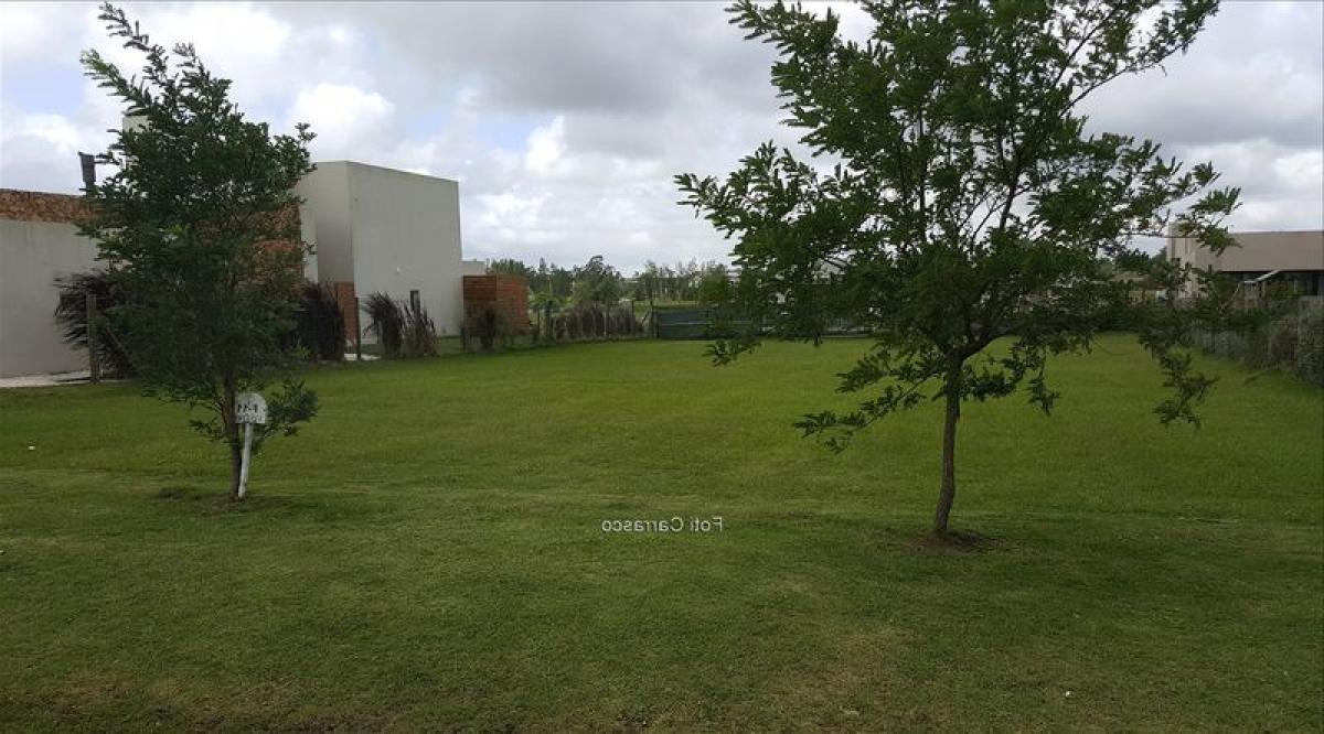  Land in Canelones, Uruguay No. 16211