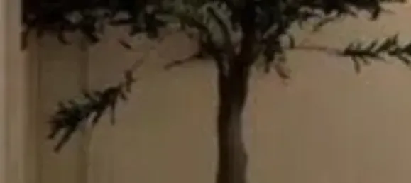 2 Schlafzimmer Wohnung in Madrid, Spain, Nr. 120030 14