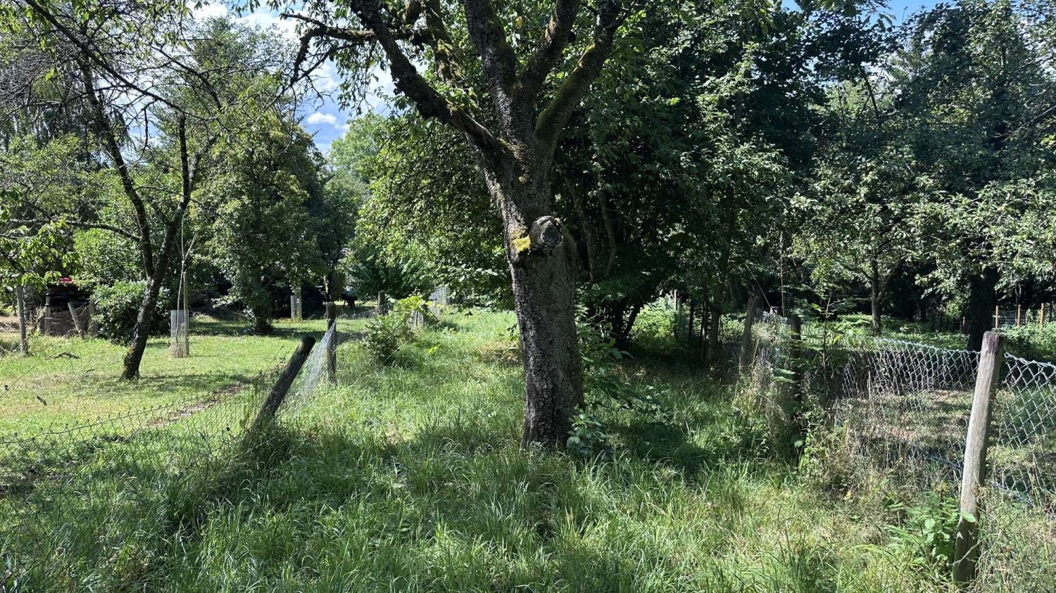  Land in Esslingen, Germany No. 263026