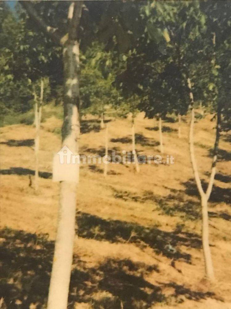 Terrain à Zavattarello, Italy 30000m² No. 251738