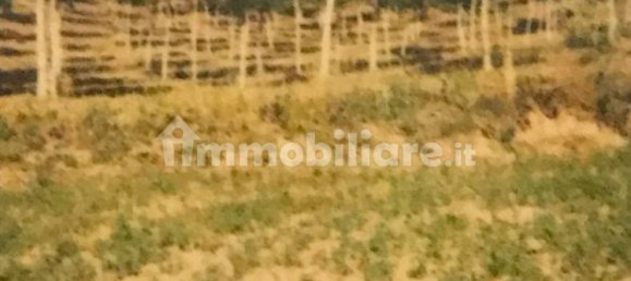Terrain à Zavattarello, Italy 30000m² No. 251738 3