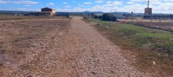 6 bedrooms House in Palma de Majorca, Spain No. 167660 29