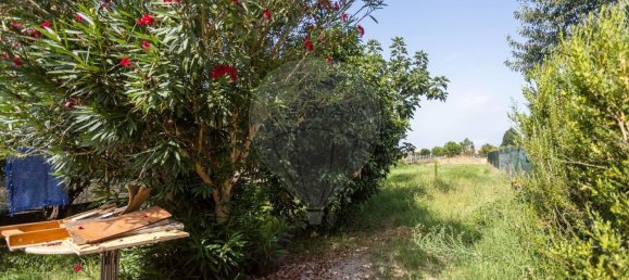 3 bedrooms House in Marinhais, Portugal No. 286742 26