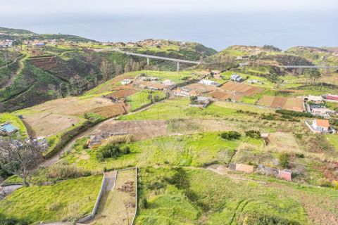 Terrain à Calheta, Portugal No. 250394