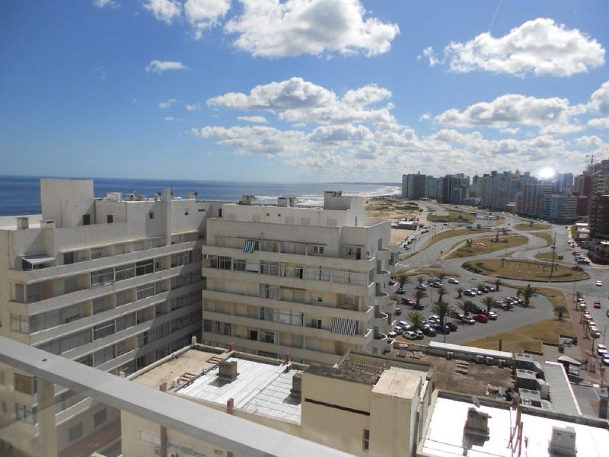 Estudio en Maldonado, Uruguay No. 3378