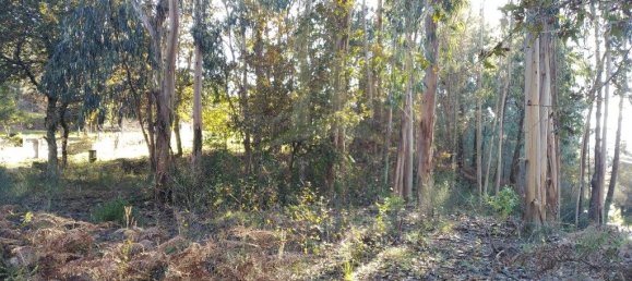 1140m² Land in Paredes de Coura, Portugal No. 53502 8