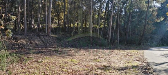 1140m² Land in Paredes de Coura, Portugal No. 53502 9