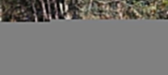 1140m² Land in Paredes de Coura, Portugal No. 53502 5