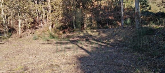 1140m² Land in Paredes de Coura, Portugal No. 53502 2