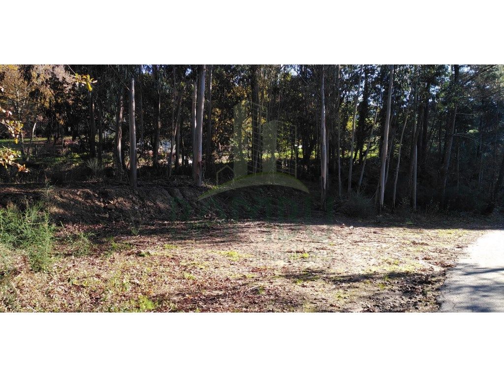 1140m² Land in Paredes de Coura, Portugal No. 53502