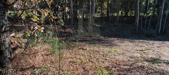 1140m² Land in Paredes de Coura, Portugal No. 53502 10