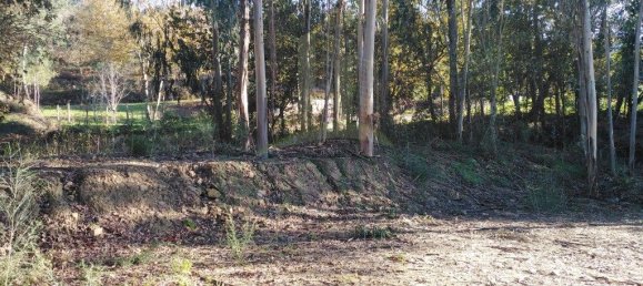 1140m² Land in Paredes de Coura, Portugal No. 53502 6