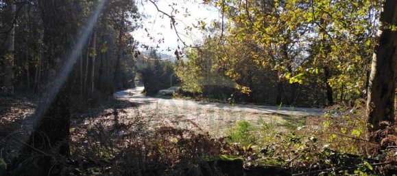 1140m² Land in Paredes de Coura, Portugal No. 53502 7
