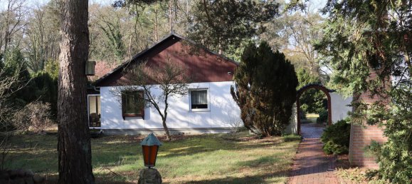 1 bedroom House in Luchow-Dannenberg, Germany No. 290742 3